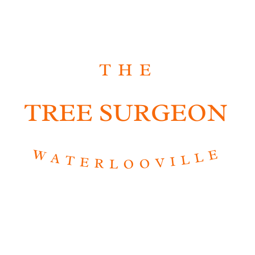 The Tree Surgeon Waterlooville